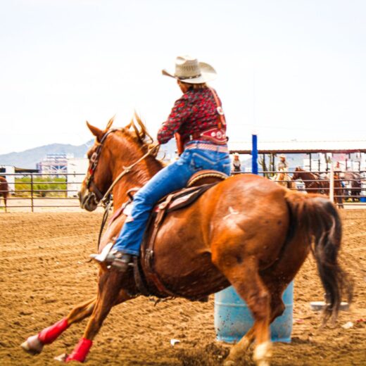 Houston Livestock Show and Rodeo Gala