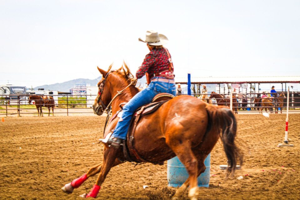 Houston Livestock Show and Rodeo Gala