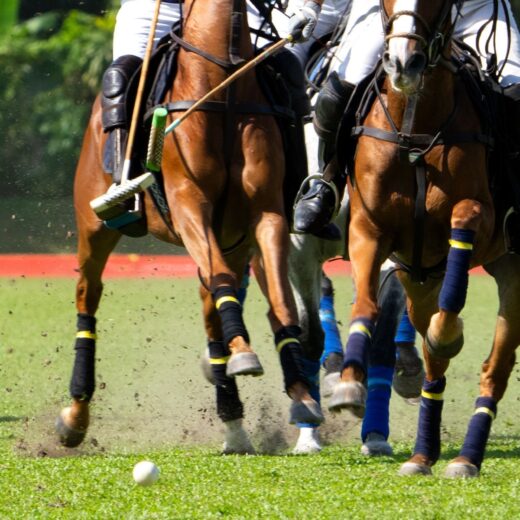 Philadelphia Polo Classic