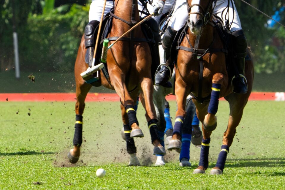 Philadelphia Polo Classic