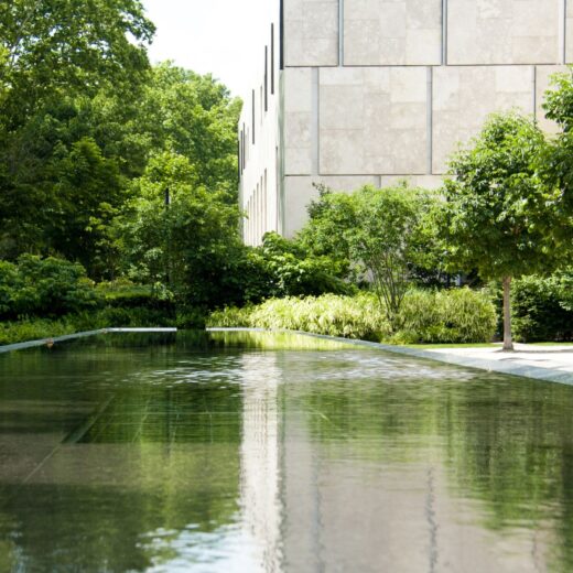 The Barnes Foundation Gala