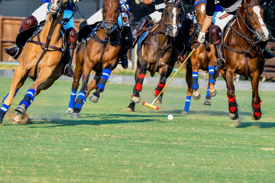 Veuve Clicquot Polo Classic