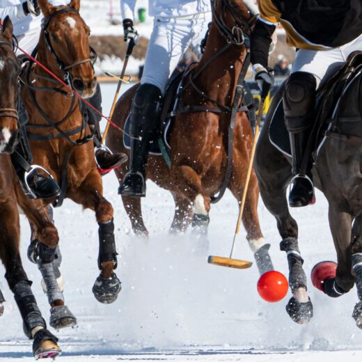 Aspen Snow Polo Championship