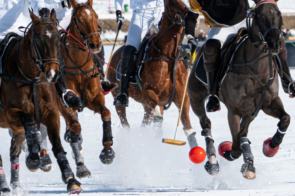 Aspen Snow Polo Championship