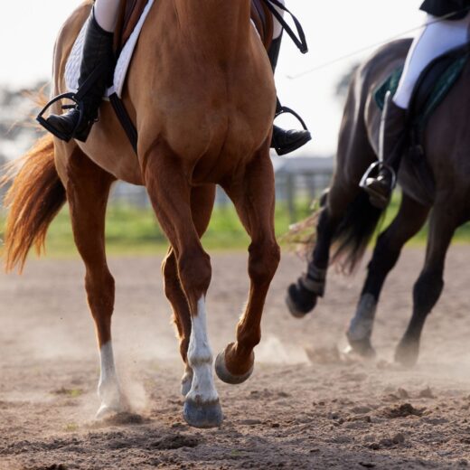 Dubai World Cup (Horse Racing)