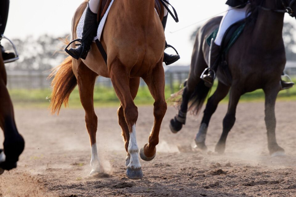 Dubai World Cup (Horse Racing)