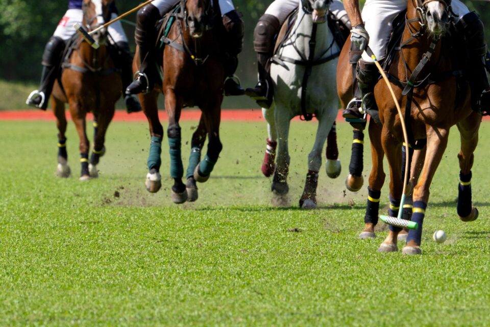 Palm Beach International Polo Season