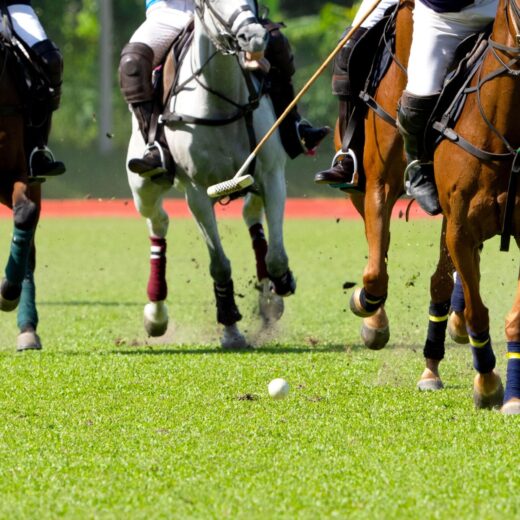 San Diego Polo Classic