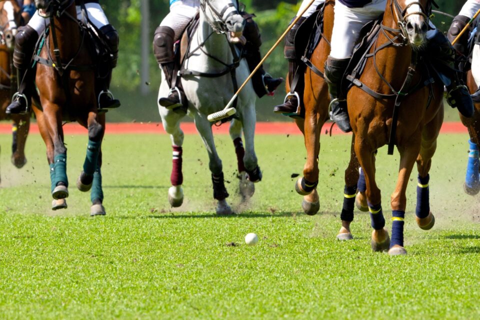 San Diego Polo Classic