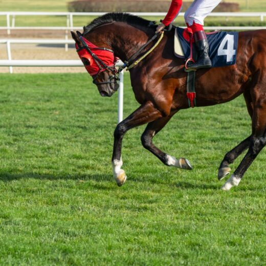 Image of Iroquois Steeplechase