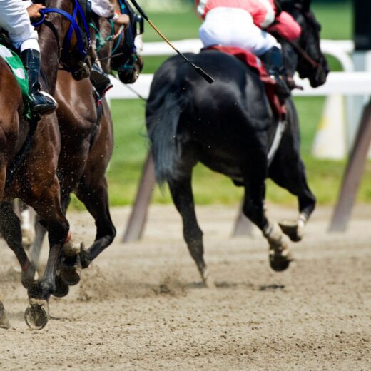 Image of CHI Geneva – International Horse Show