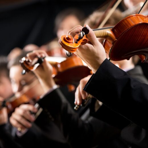 Image of St. Louis Symphony Orchestra Gala