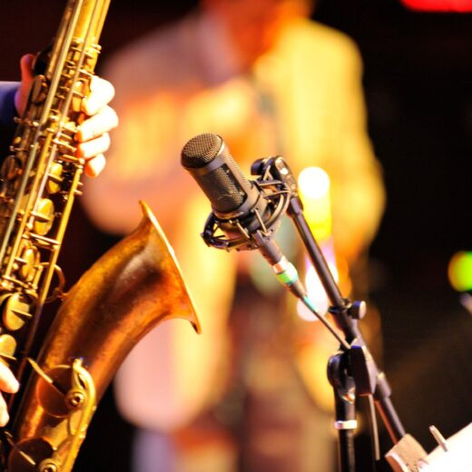 Image of Bradenton Blues Festival