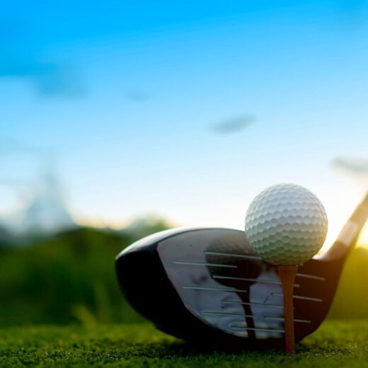 Image of Chubb Classic