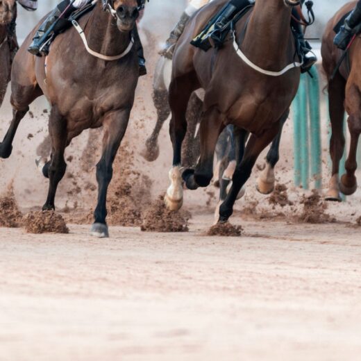 Image of Kentucky Derby & Oaks Week