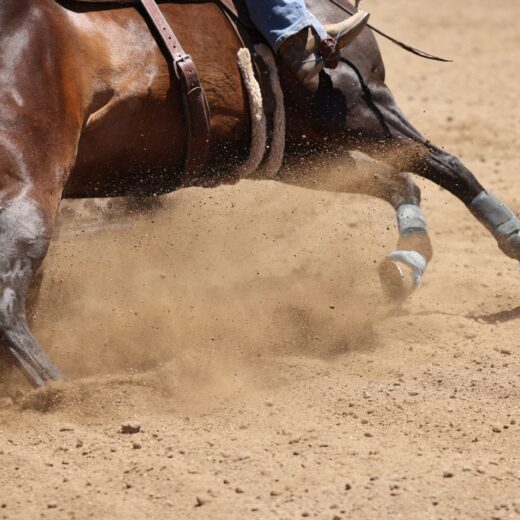 Image of Rodeo of the Ozarks