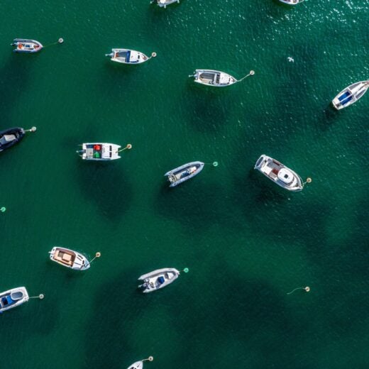 Image of Sailfish Regatta