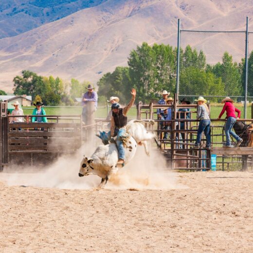 Image of Big Sky Professional Bull Riders Classic