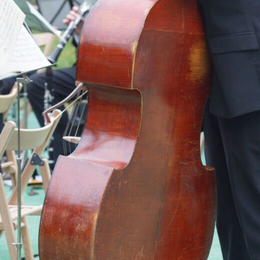 Image of Biscuits and Banjos Music Festival