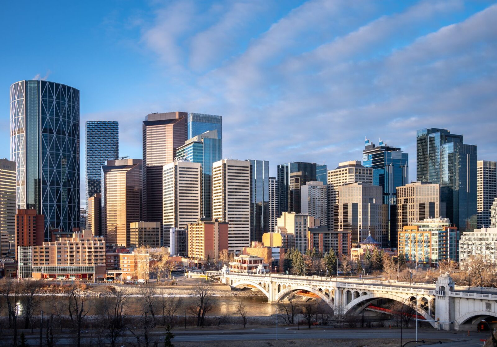 Calgary City View