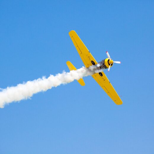 Image of National Championship Air Races