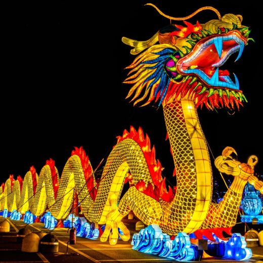 Image of North Carolina Chinese Lantern Festival
