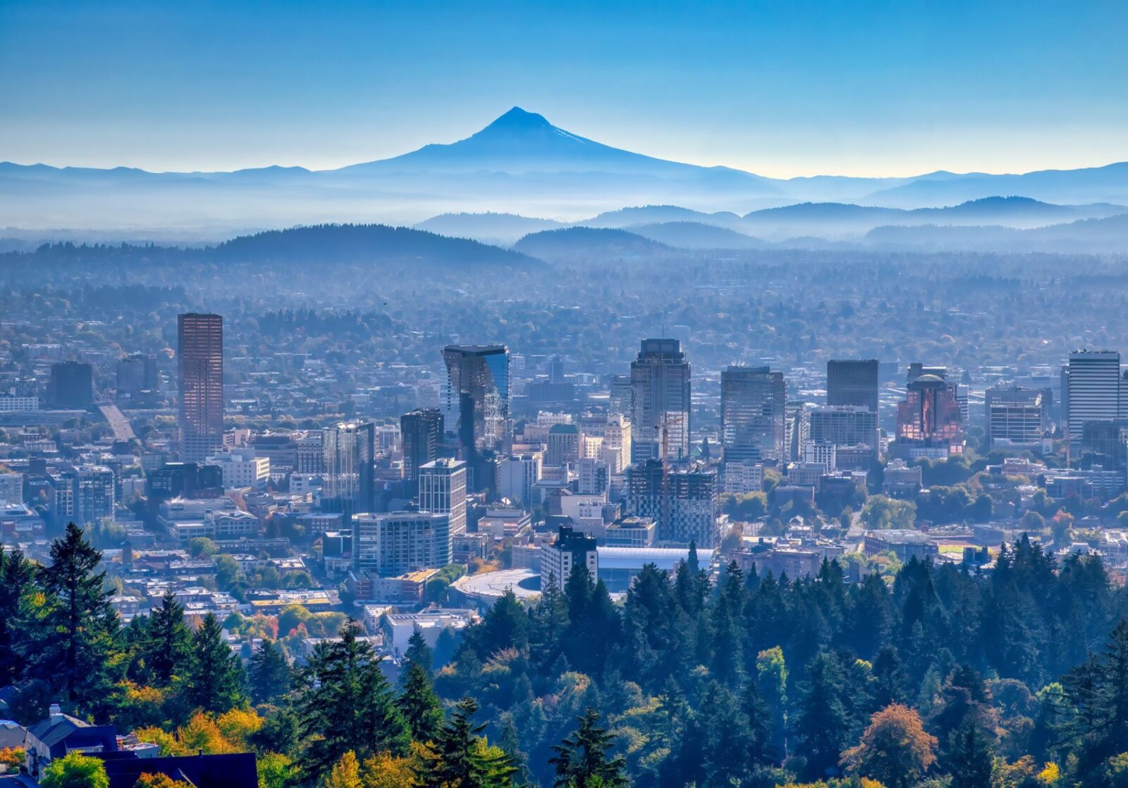 Portland City View