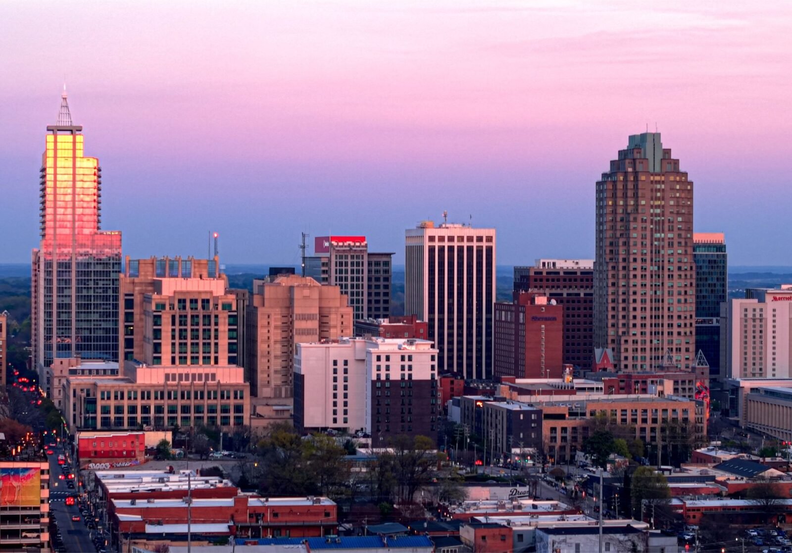 Raleigh City View