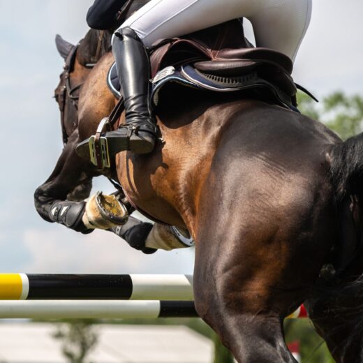Image of Augusta Futurity Horse Show