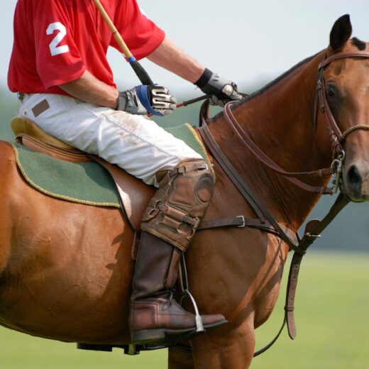 Image of Buenos Aires International Polo Open