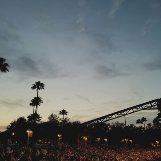 Image of Palm Tree Music Festival