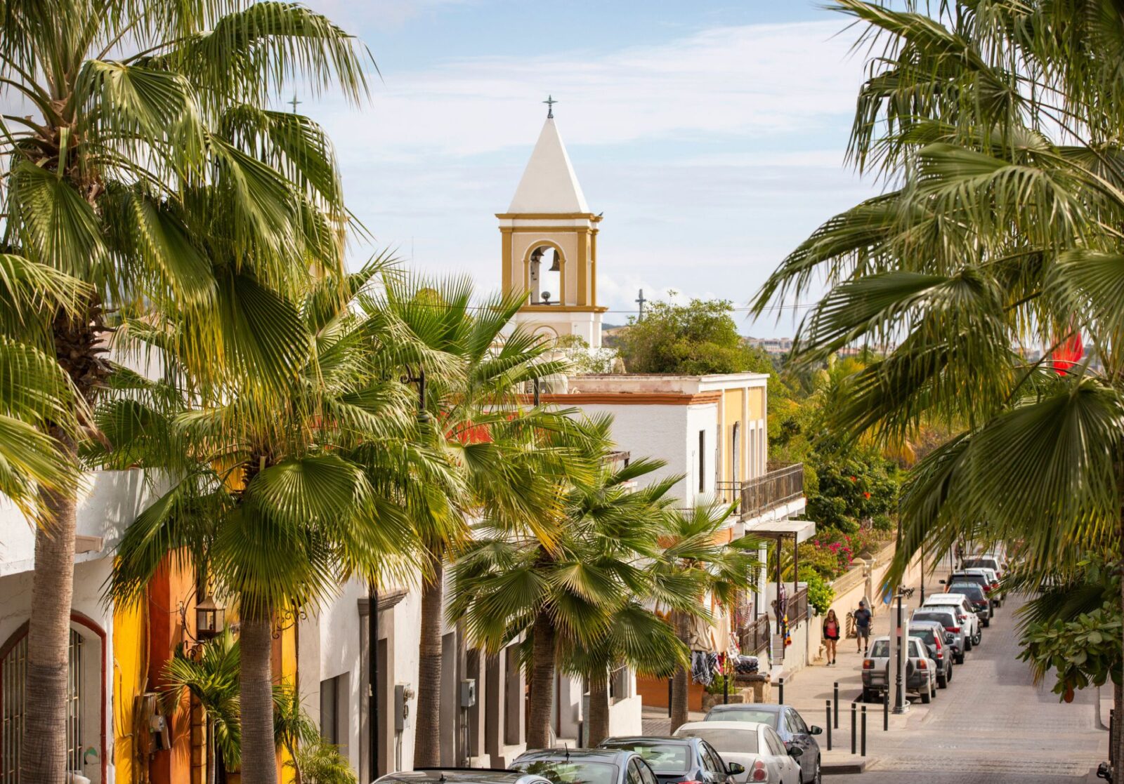 San Jose del Cabo City View