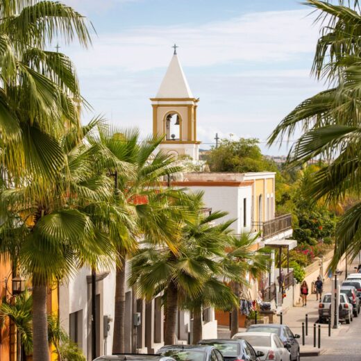 San Jose del Cabo City View