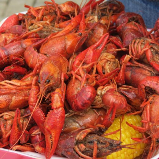 Image of Bayou Boogaloo & Cajun Food Festival