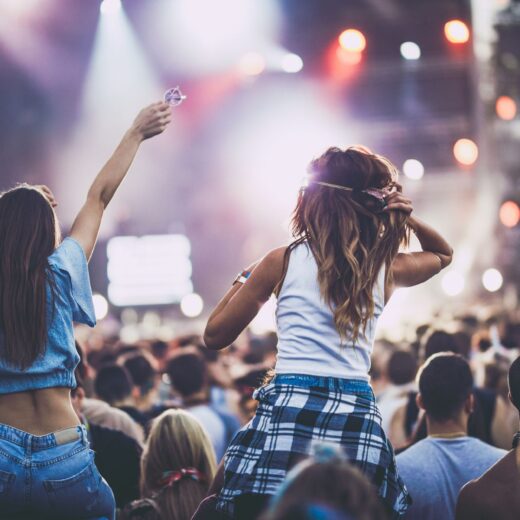 Image of Boise Music Festival