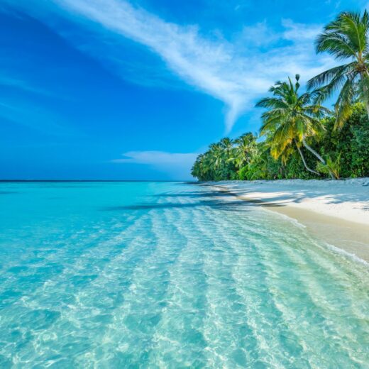 Image of Maldives to Singapore