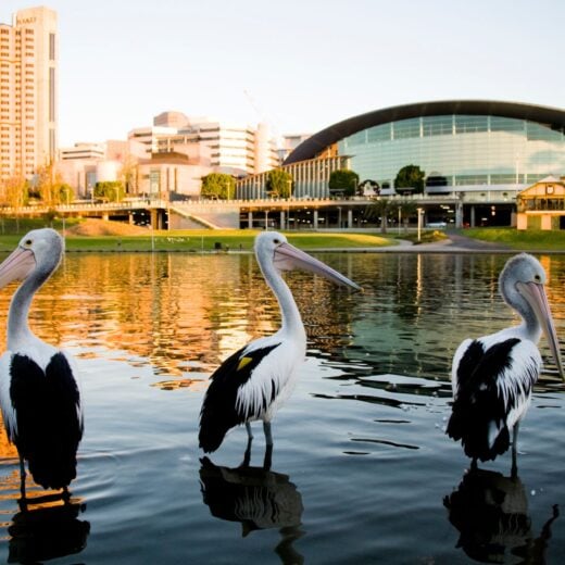 Image of Adelaide to Melbourne
