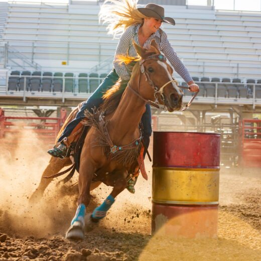 Image of Pikes Peak or Bust Rodeo