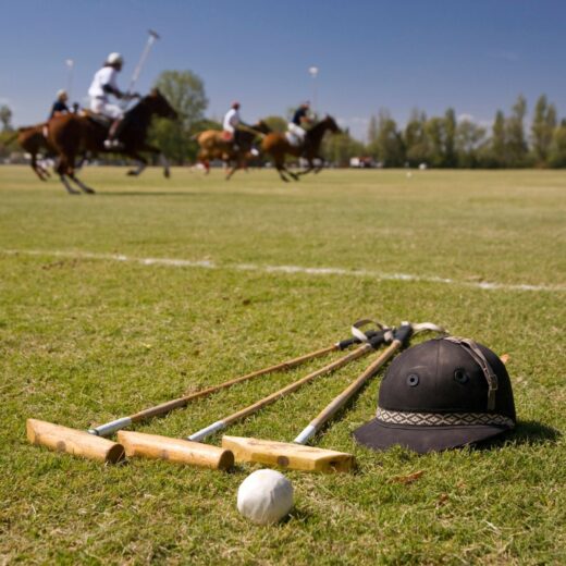 Image of Polo & Genuss Festival