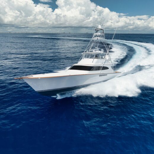 Image of Puerto Vallarta Race