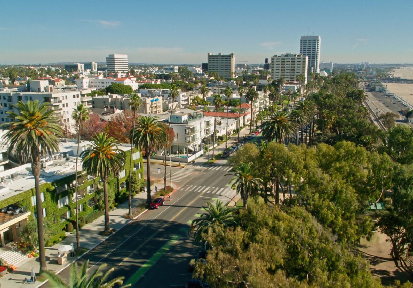 Santa Monica City View
