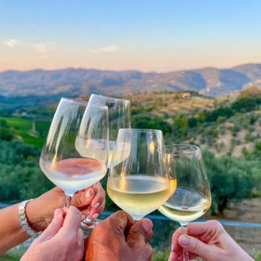 Image of Taste of Napa