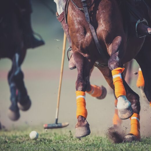 Image of Windsor Charity Polo Cup