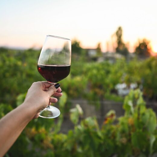 Image of Wine & Taste Festival