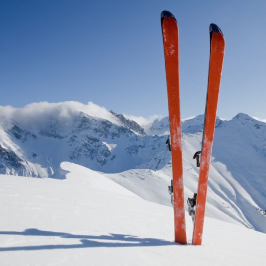 Image of Wood River Extreme Skijoring