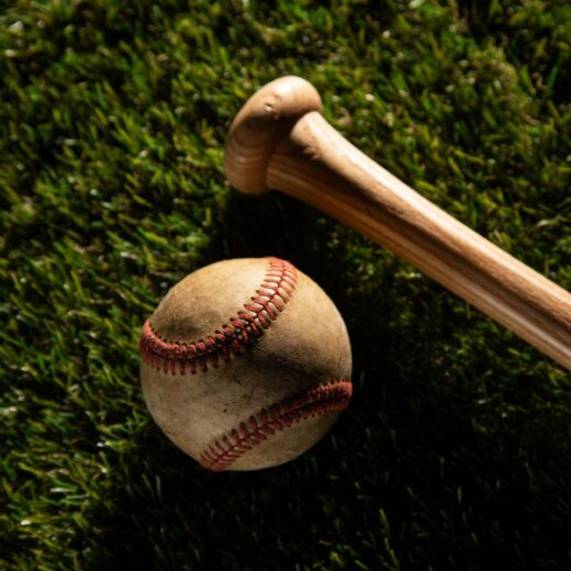 Image of Akron RubberDucks VIP Baseball Nights