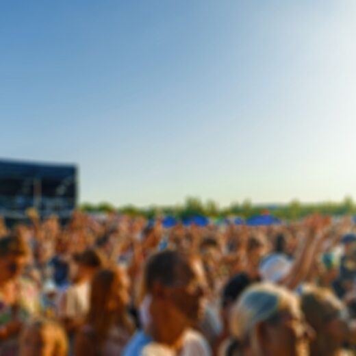Image of Conroe Cajun Catfish Festival