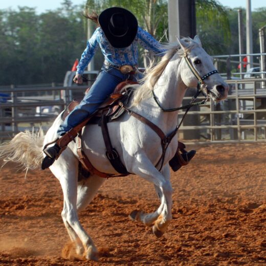 Image of Heart O' Texas Fair & Rodeo