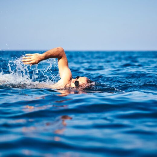 Image of Monterey Bay Open Water Swim