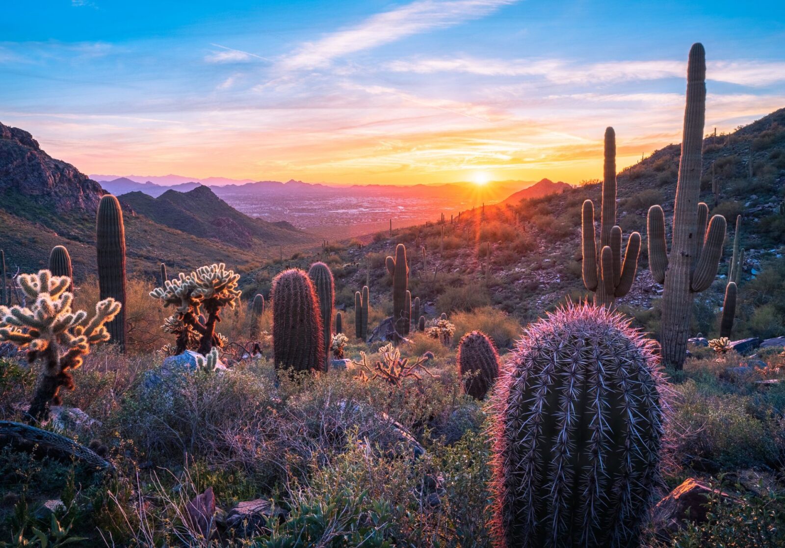 Scottsdale City View
